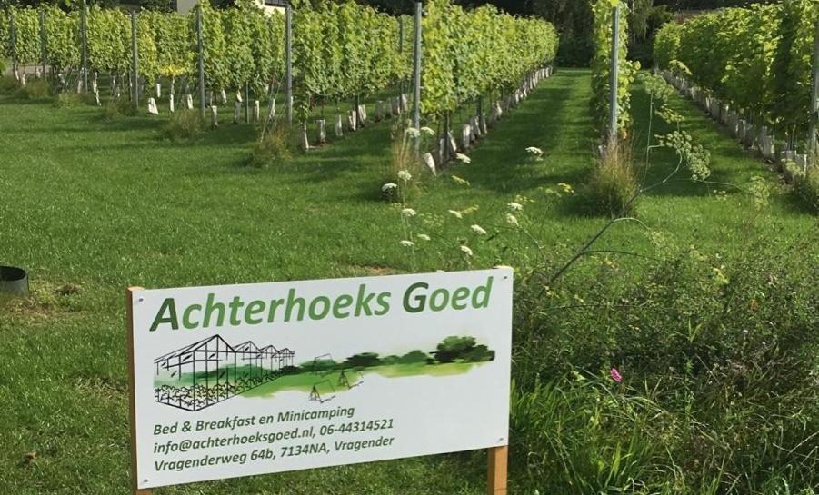 Achterhoeks Goed, Minicamping In Vragender מראה חיצוני תמונה